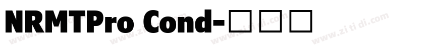 NRMTPro Cond字体转换